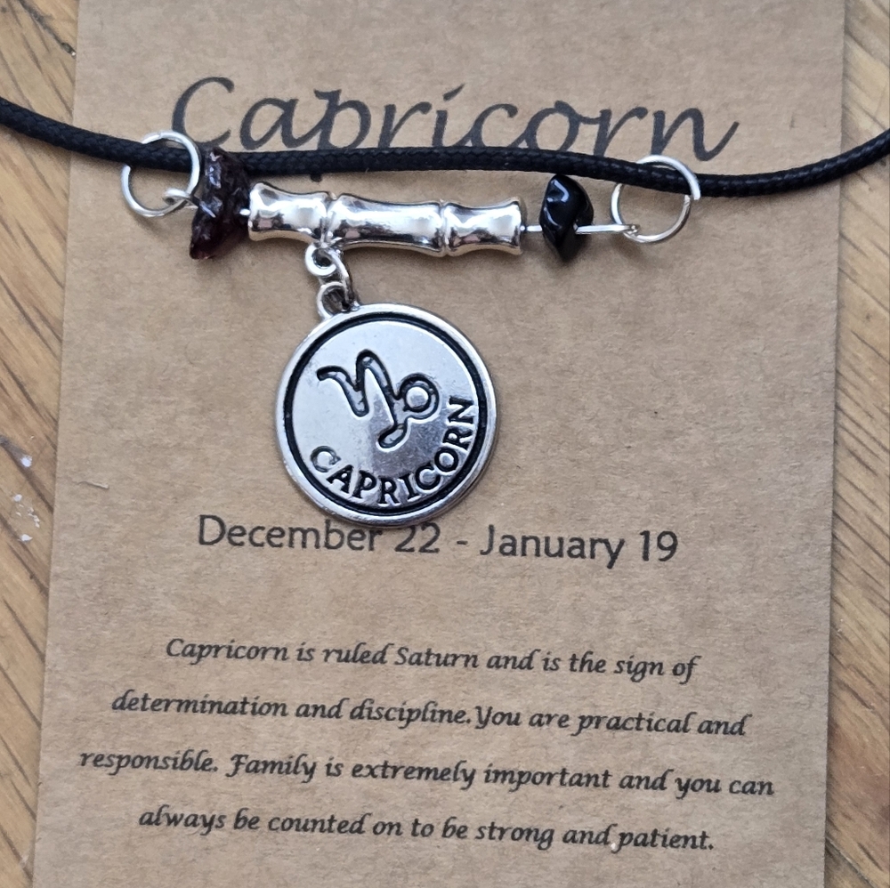 Capricorn Zodiac Vibe Bar Necklace – Garnet & Obsidian with Capricorn Charm